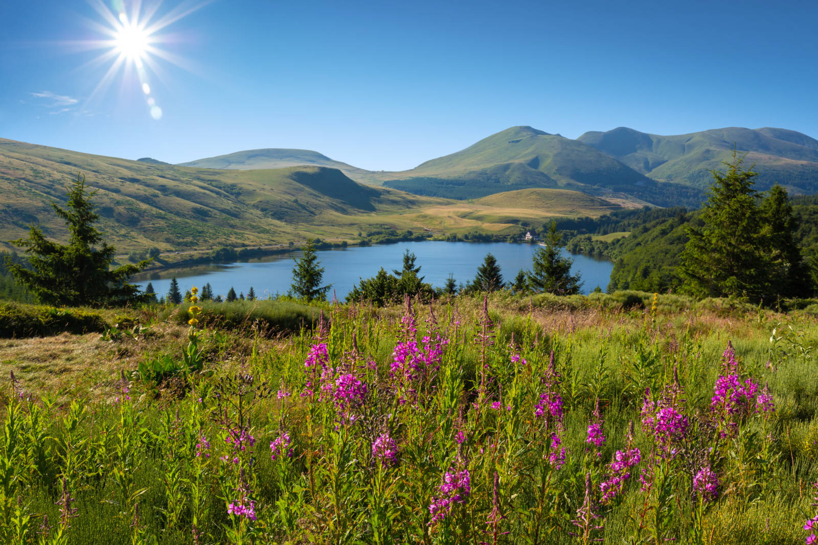 Voyages Rubio - Voyages de groupe - LE PUY EN VELAY  – ALLAYRAS 2024