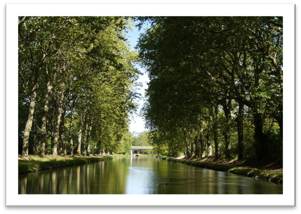 Voyages Rubio - Voyages de groupe - Entre Fleuve et canal du midi 2024